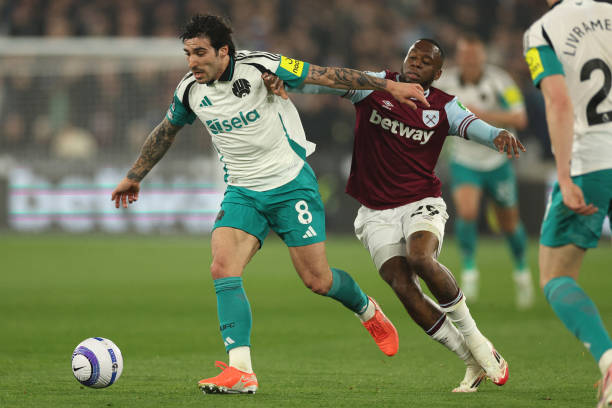 他不仅拥有 他不仅拥有